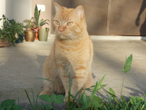 DSCN9557